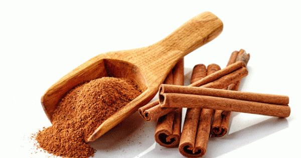TOZ TARÇIN 100gr.
